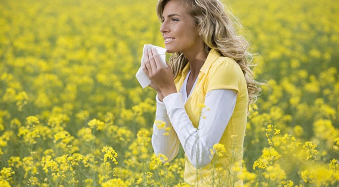 5 Questions To Ask About Hay Fever
